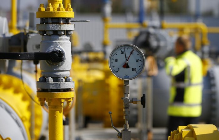 Измерение влияния цен на газ на макроэкономические параметры России